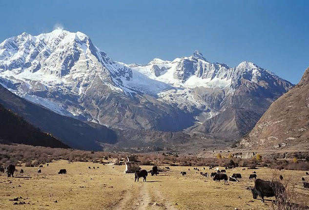 Nar Phu Valley Trek 12 Days